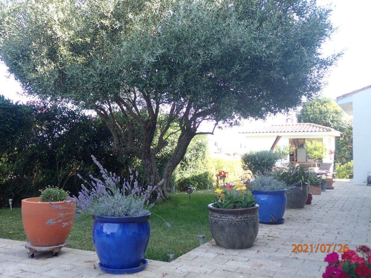 Les Fruitiers Agde Exterior photo